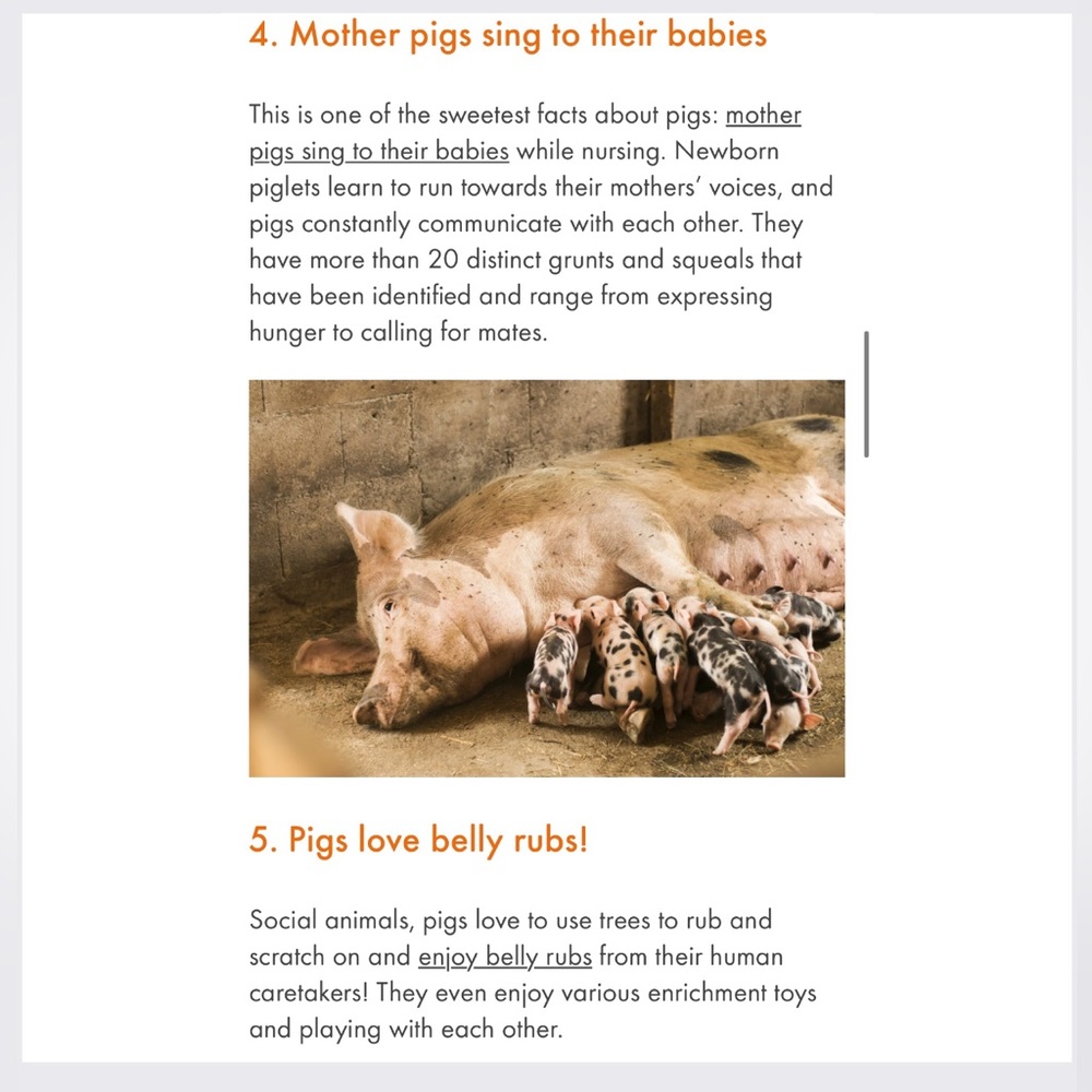 #4 LIKE LISTING #5 Comments Full - Picture 15 of 16